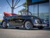 CaRSeNSaTioN-III-2025-Izegem-87