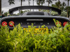 Ypres-Lotus-Day-2025-29