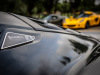 Ypres-Lotus-Day-2025-47