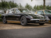 Ypres-Lotus-Day-2025-53